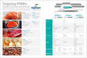 Targeting PPARs: A guide to function and structure